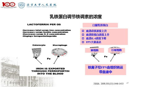 特殊醫(yī)學(xué)用途配方食品在母嬰領(lǐng)域的應(yīng)用與醫(yī)學(xué)研究進(jìn)展
