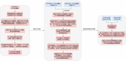多組學在疾病發生發展過程中的研究思路與應用前沿
